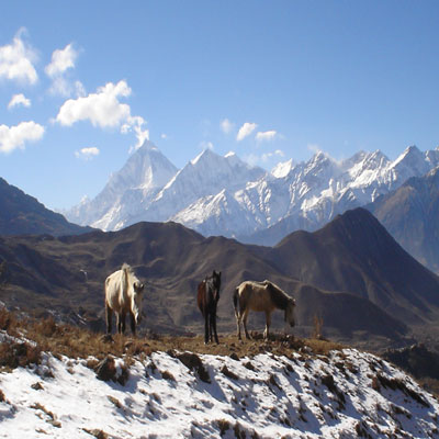 beautiful dhaulagiri himal form muktinath